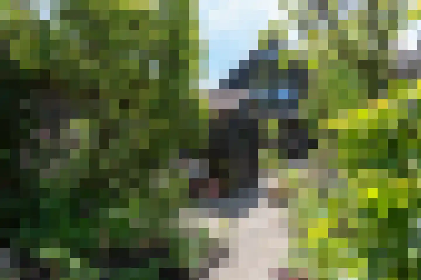 Westeinde 8 Wijngaarden thumbnail 75
