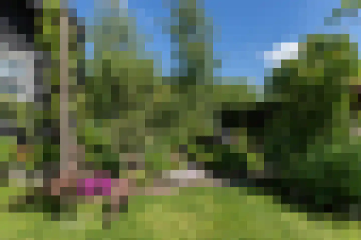 Westeinde 8 Wijngaarden thumbnail 76