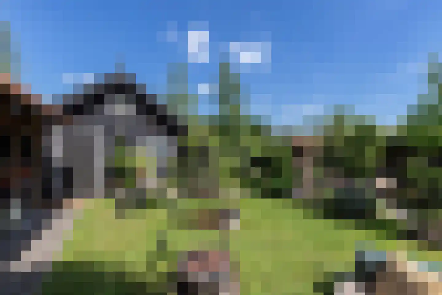 Westeinde 8 Wijngaarden thumbnail 77