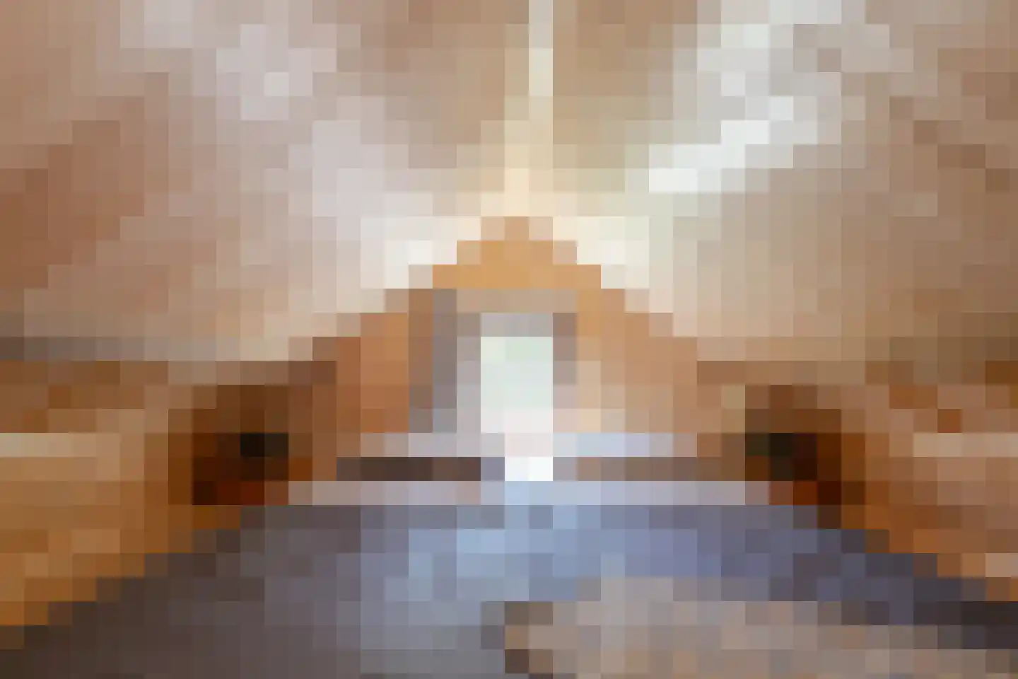 Westeinde 8 Wijngaarden thumbnail 82