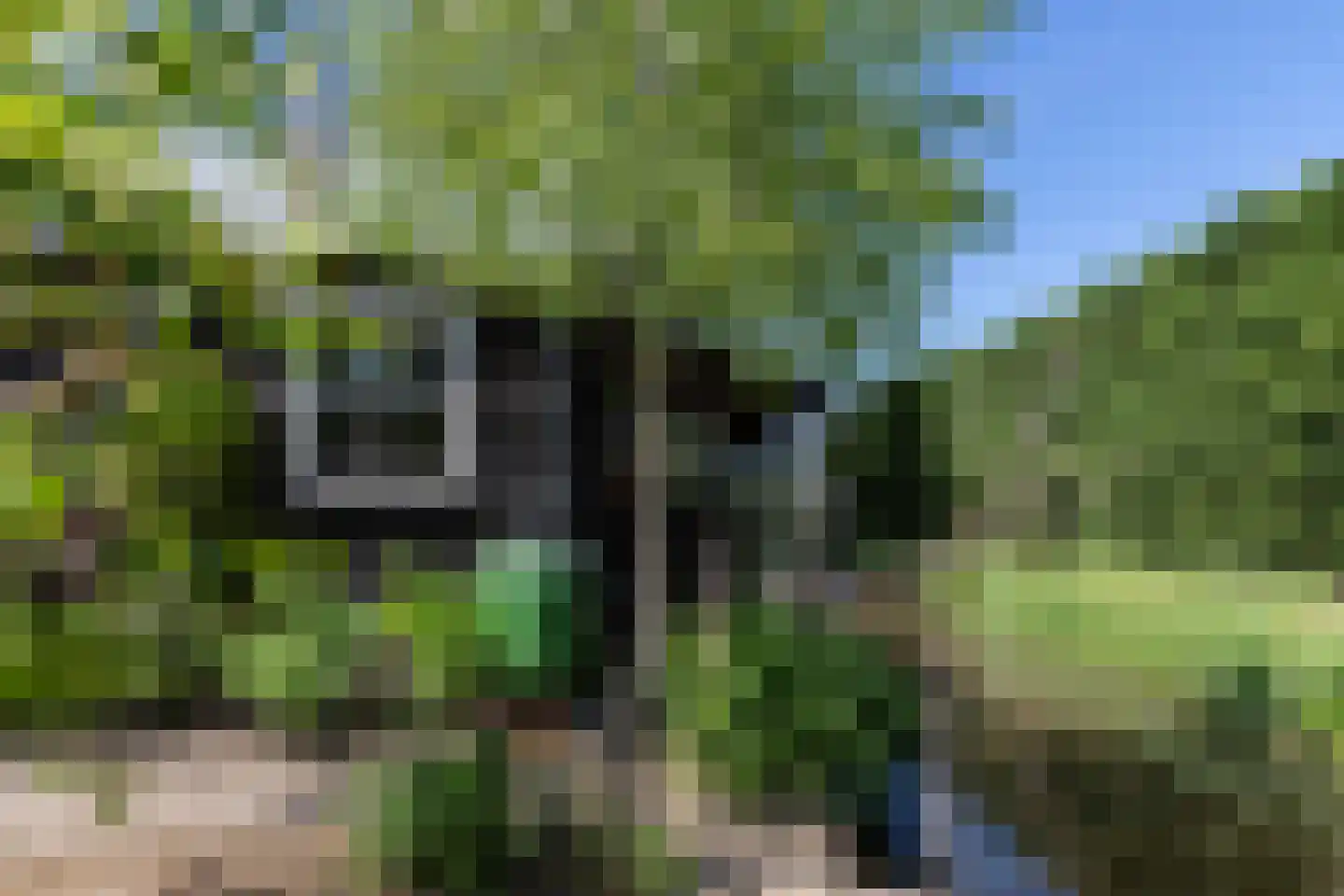 Westeinde 8 Wijngaarden thumbnail 85