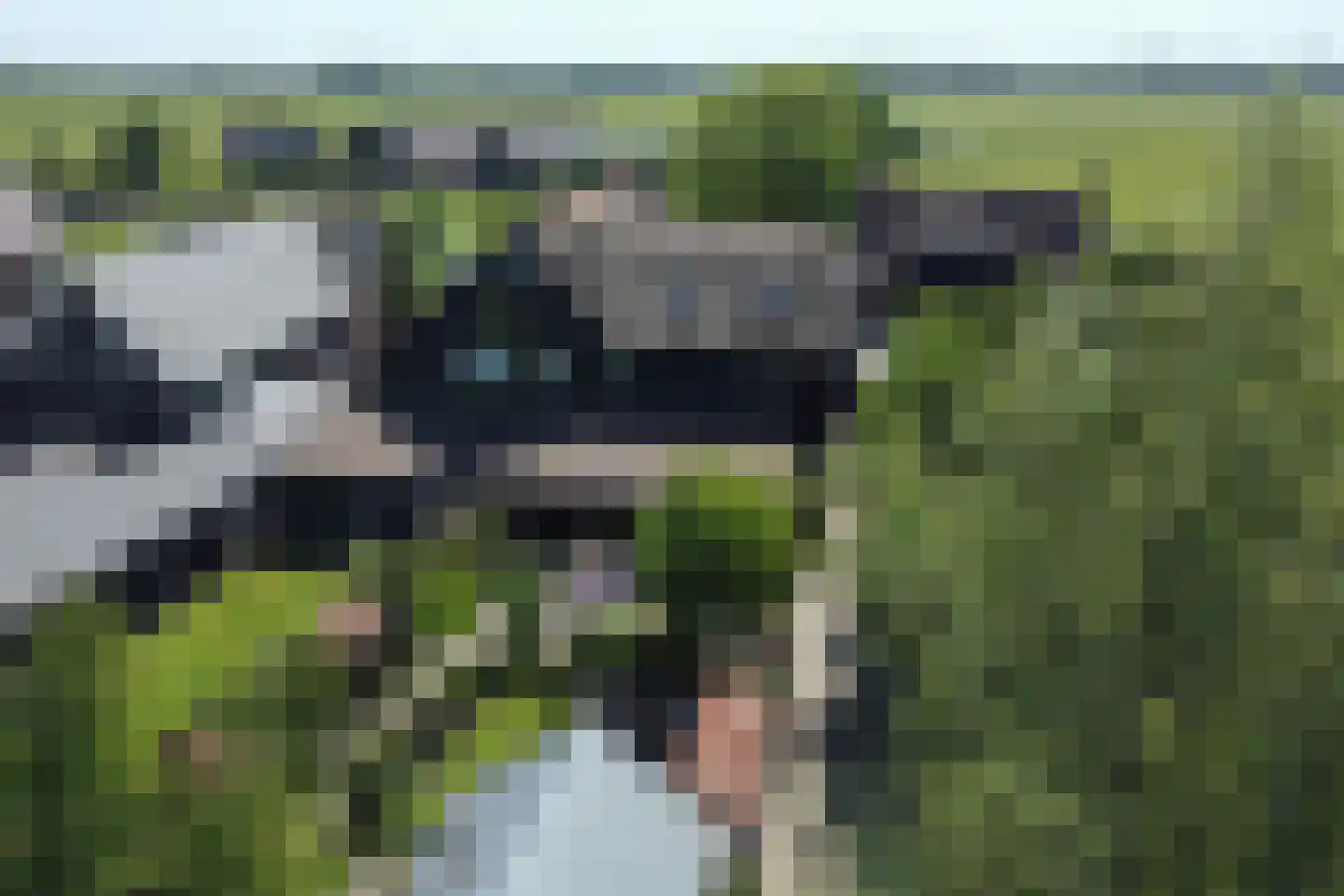 Westeinde 8 Wijngaarden thumbnail 88
