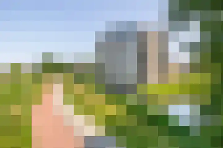 Westeinde 84 B Harderwijk thumbnail 34
