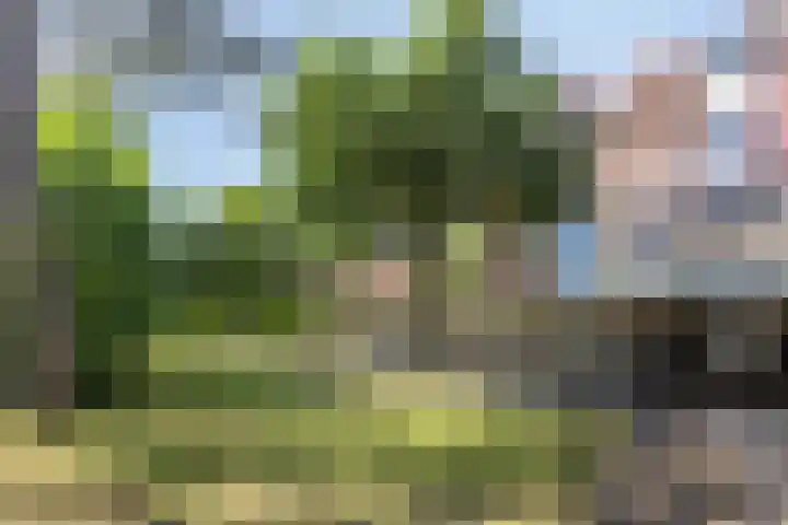 Westeinde 84 Maassluis thumbnail 5