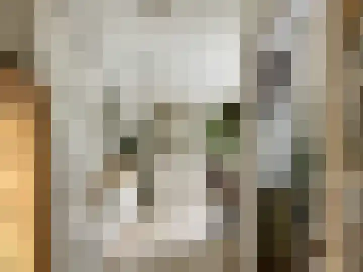 Westeinde 85 Voorburg thumbnail 17