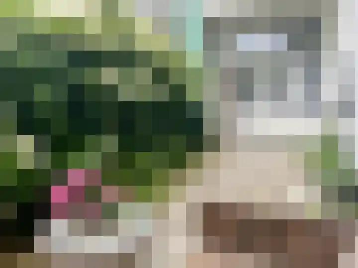 Westeinde 85 Voorburg thumbnail 32