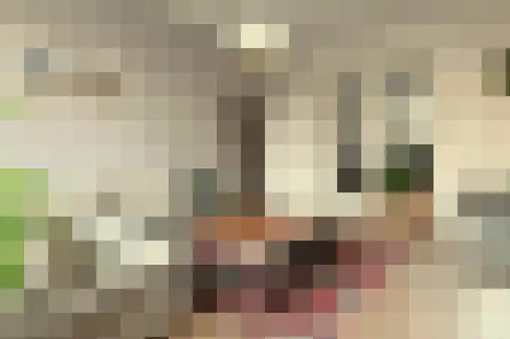 Westeinde 85 Voorburg thumbnail 7