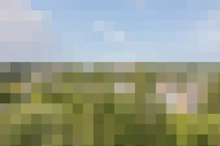 Westelijk Halfrond 479 Amstelveen thumbnail 22