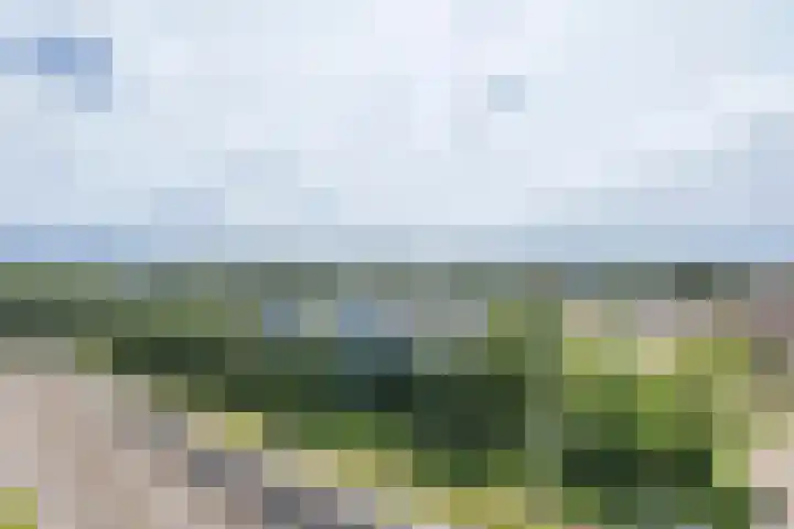 Westelijk Halfrond 479 Amstelveen thumbnail 8