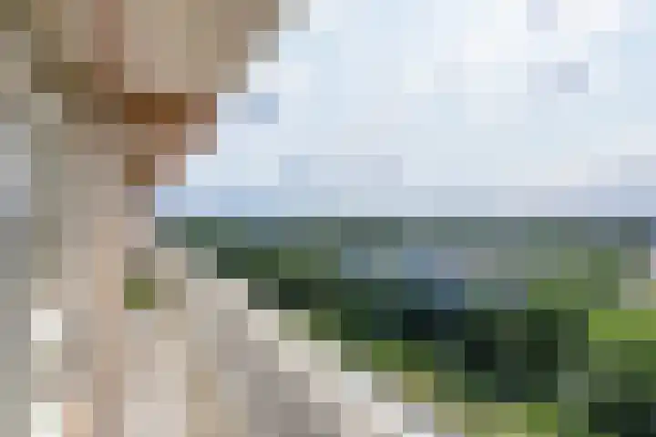 Westelijk Halfrond 479 Amstelveen thumbnail 9