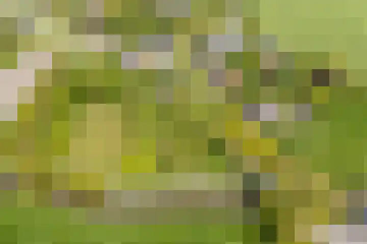 Westendorpweg 3 Losdorp thumbnail 12