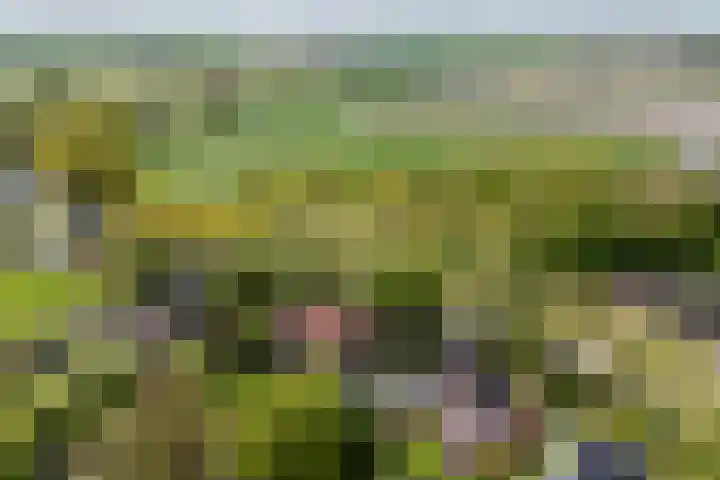 Westendorpweg 3 Losdorp thumbnail 13