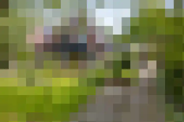 Westendorpweg 3 Losdorp thumbnail 14