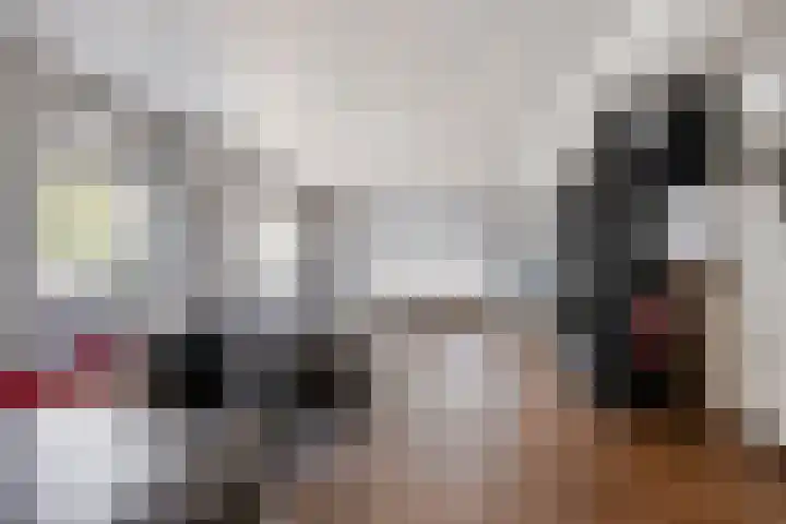 Wester Es 11 Appelscha thumbnail 13