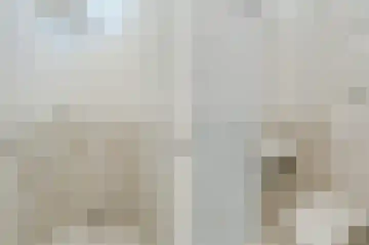 Wester Es 11 Appelscha thumbnail 15