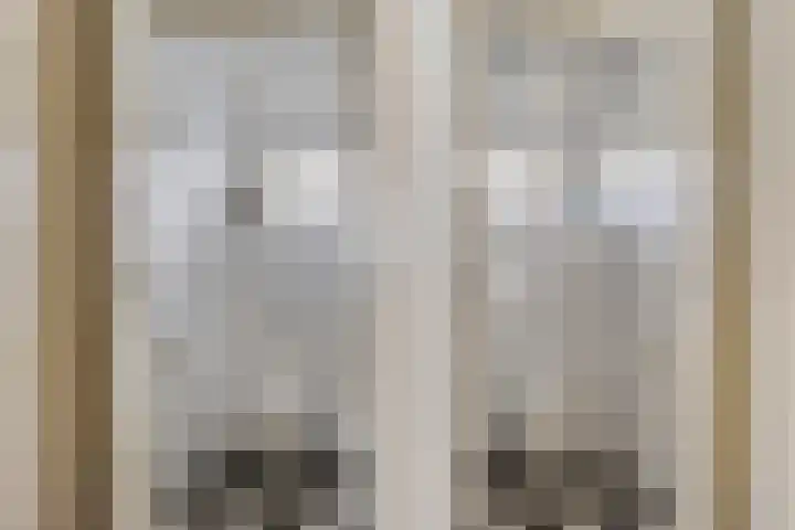 Wester Es 11 Appelscha thumbnail 16