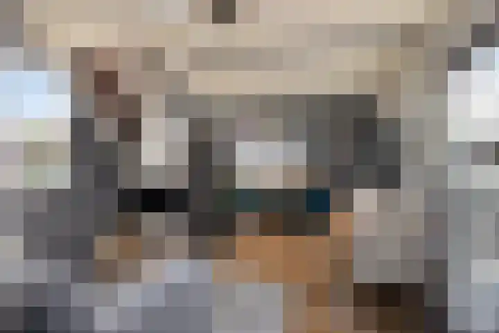 Wester Es 11 Appelscha thumbnail 21