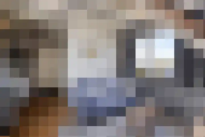 Wester Es 11 Appelscha thumbnail 24