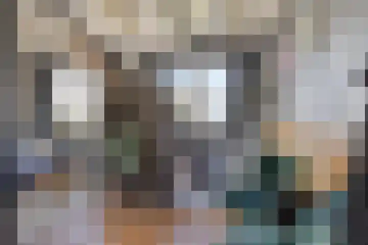 Wester Es 11 Appelscha thumbnail 25