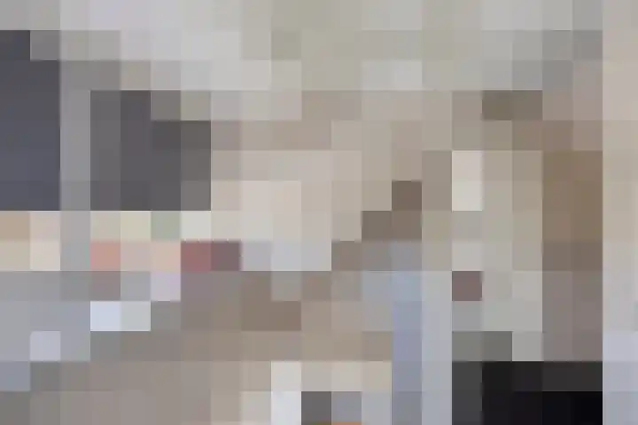Wester Es 11 Appelscha thumbnail 26