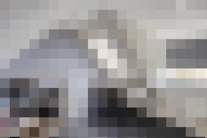 Wester Es 11 Appelscha thumbnail 30