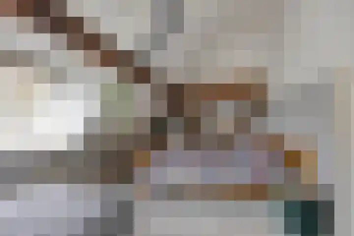 Wester Es 11 Appelscha thumbnail 33