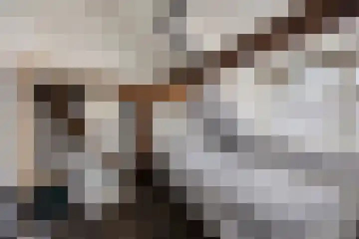 Wester Es 11 Appelscha thumbnail 34