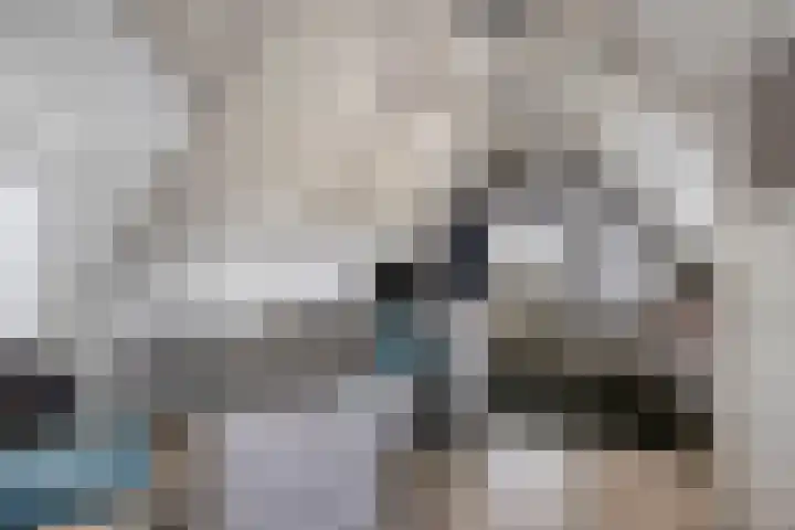 Wester Es 11 Appelscha thumbnail 35