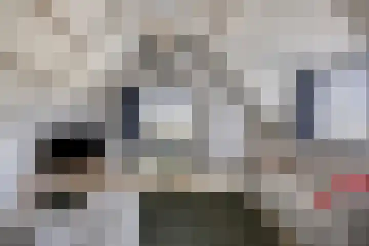 Wester Es 11 Appelscha thumbnail 36