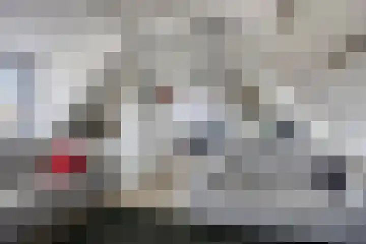 Wester Es 11 Appelscha thumbnail 37
