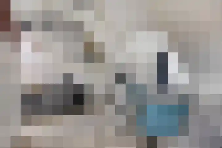 Wester Es 11 Appelscha thumbnail 38