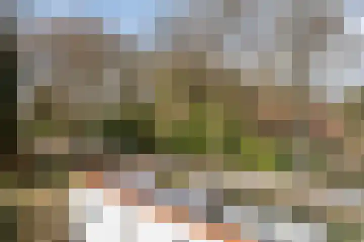 Wester Es 11 Appelscha thumbnail 39