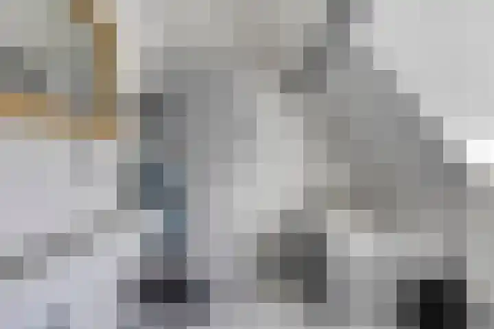 Wester Es 11 Appelscha thumbnail 40