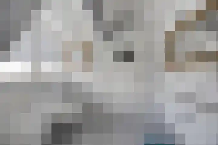 Wester Es 11 Appelscha thumbnail 41