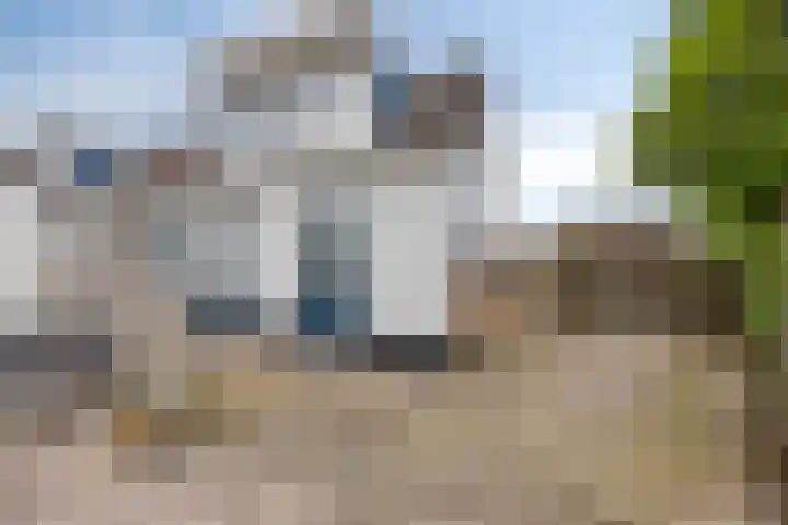 Wester Es 11 Appelscha thumbnail 44