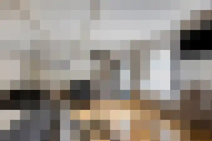 Wester Es 11 Appelscha thumbnail 47