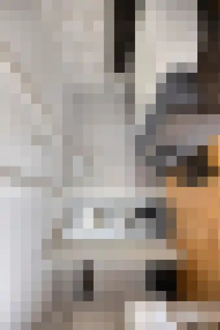 Wester Es 11 Appelscha thumbnail 48