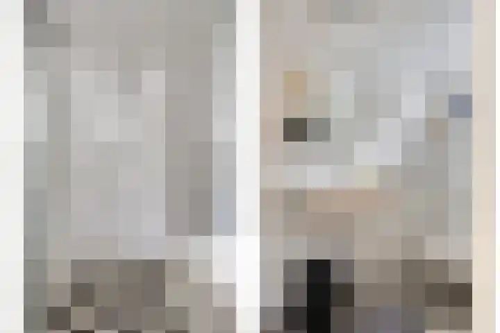 Wester Es 11 Appelscha thumbnail 52