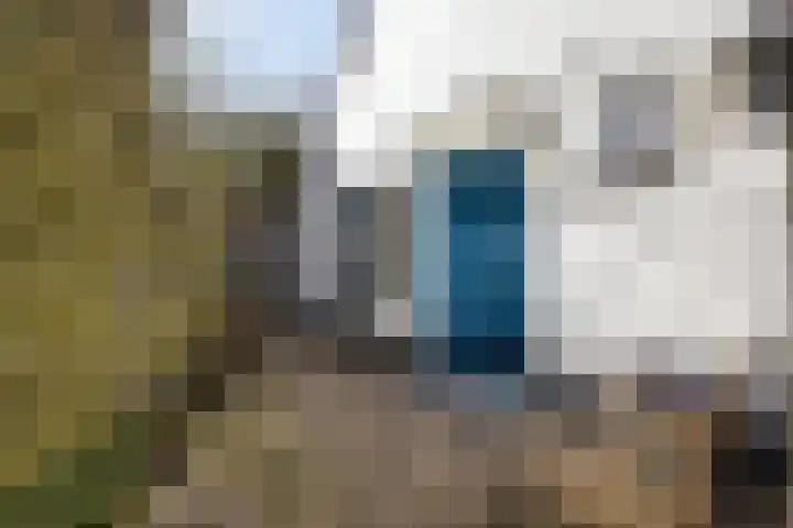 Wester Es 11 Appelscha thumbnail 53