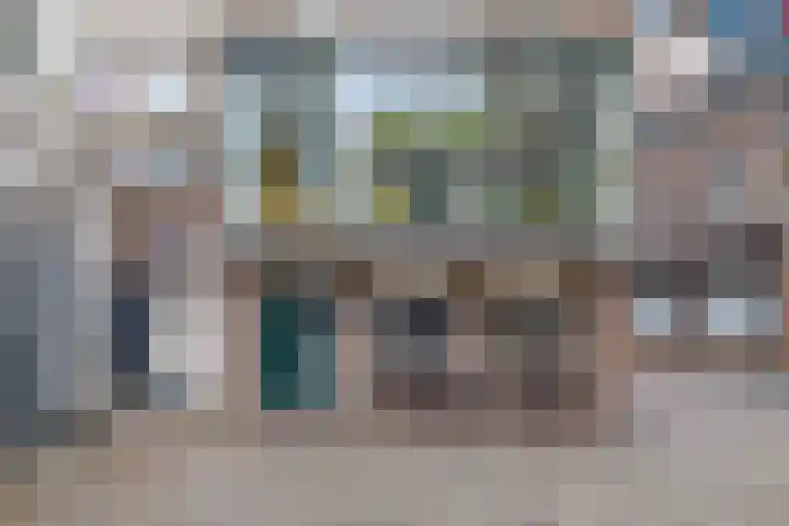 Wester Es 11 Appelscha thumbnail 57