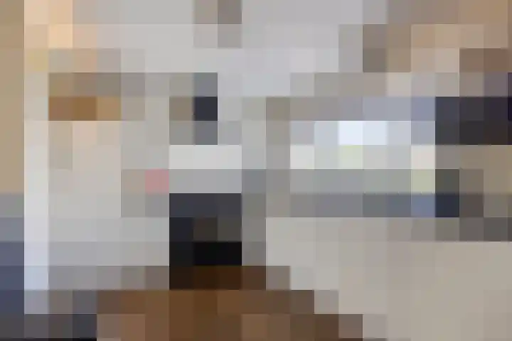 Wester Es 11 Appelscha thumbnail 6