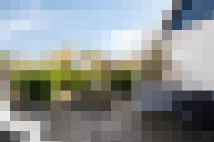 Wester Es 11 Appelscha thumbnail 62