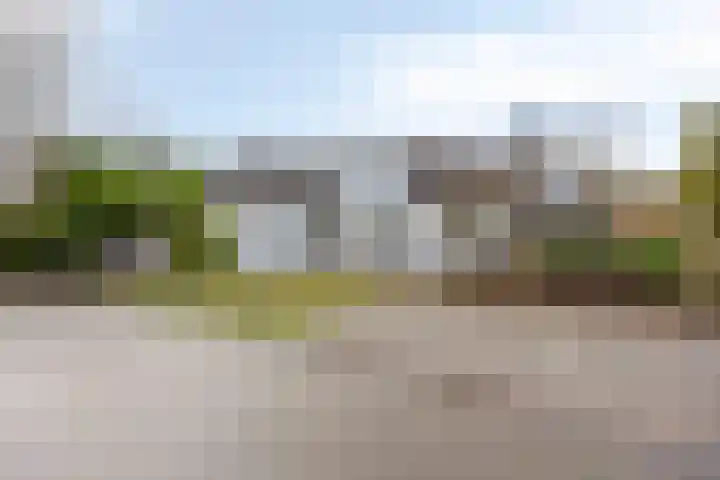 Wester Es 11 Appelscha thumbnail 64