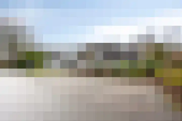 Wester Es 11 Appelscha thumbnail 65