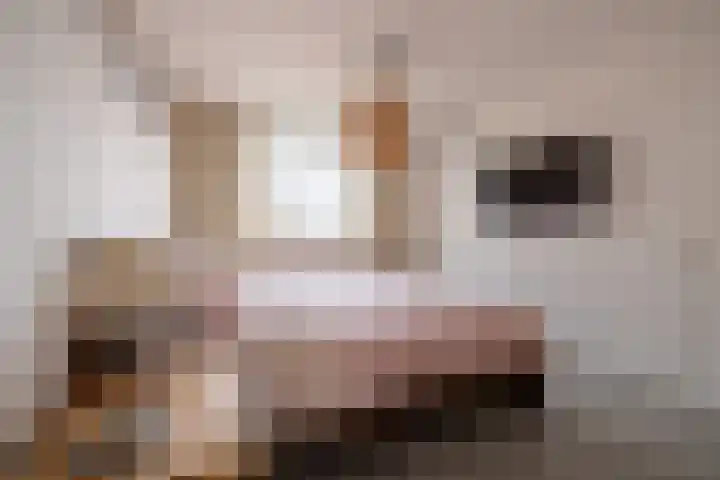 Wester Es 11 Appelscha thumbnail 66