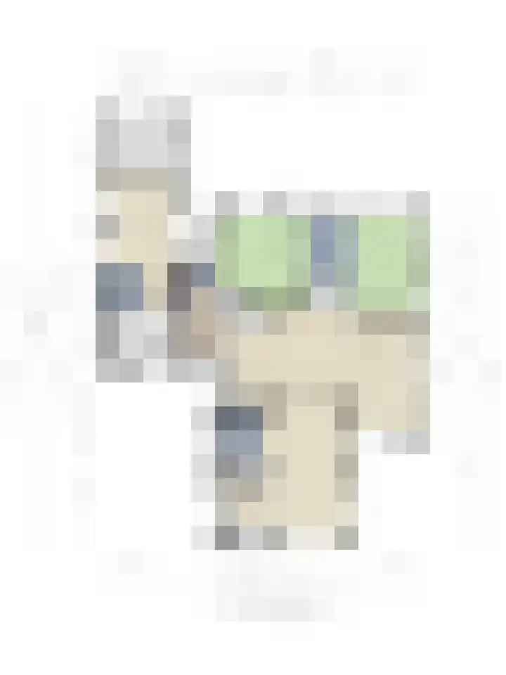 Wester Es 11 Appelscha thumbnail 70