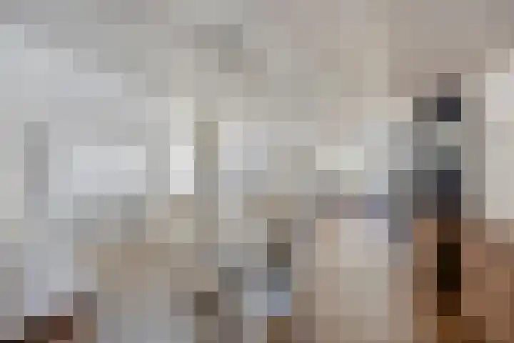 Wester Es 11 Appelscha thumbnail 8
