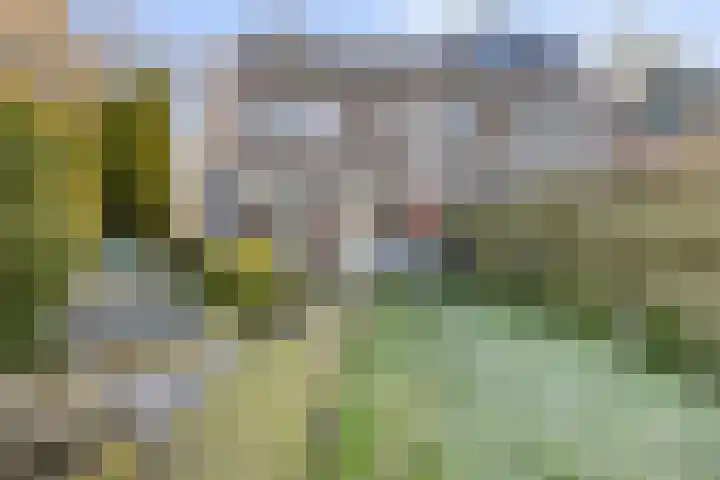 Wester-omwei 79 A Hurdegaryp thumbnail 4