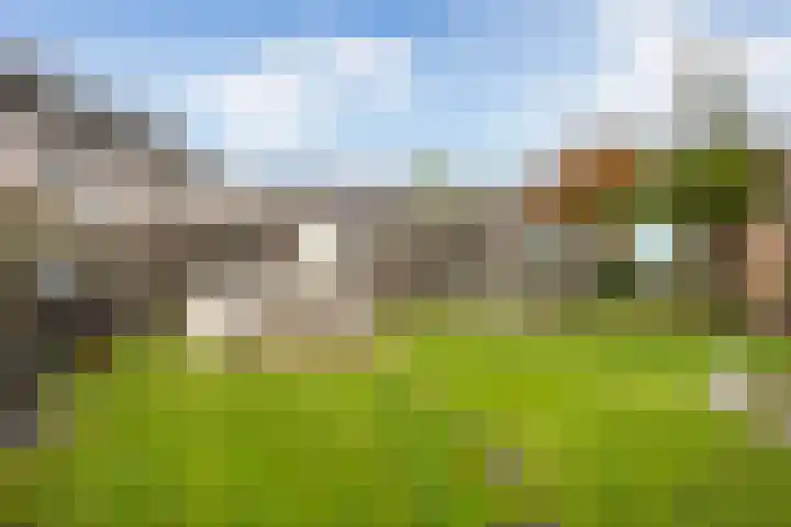Westerbeek 5 Schoonebeek thumbnail 12