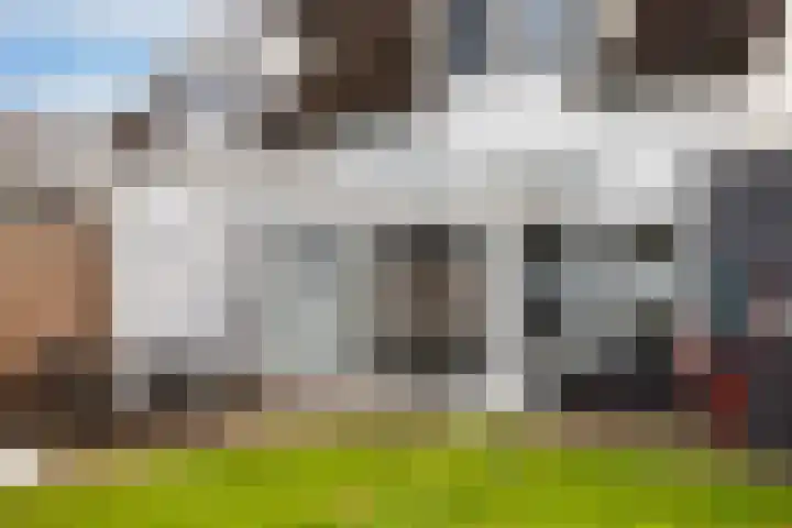Westerbeek 5 Schoonebeek thumbnail 13